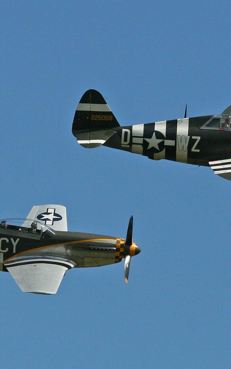 N251RJ - Warbird
