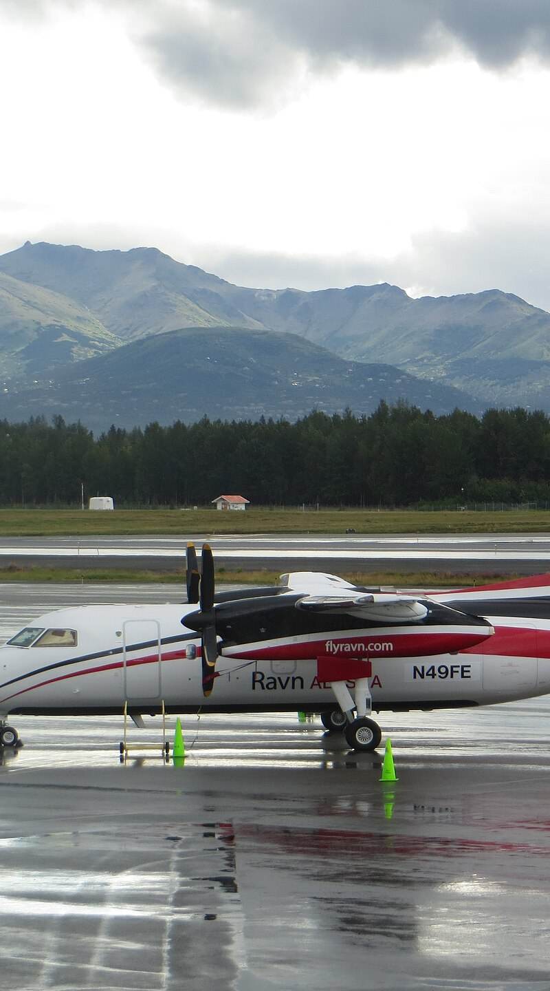 N49FE - De Havilland