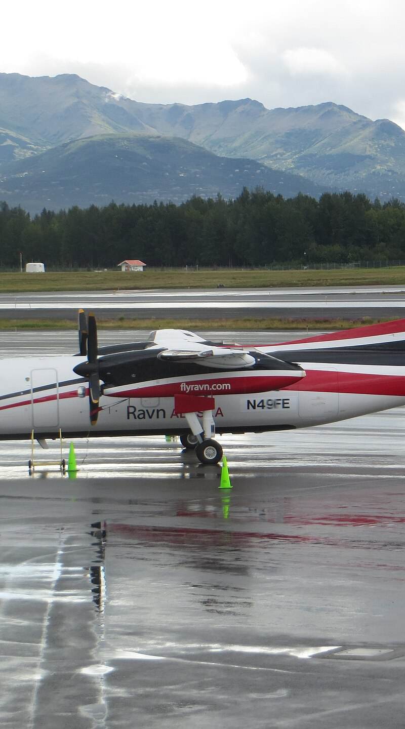 N49FE - De Havilland