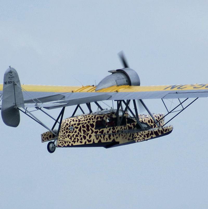  - Single-engine aircraft