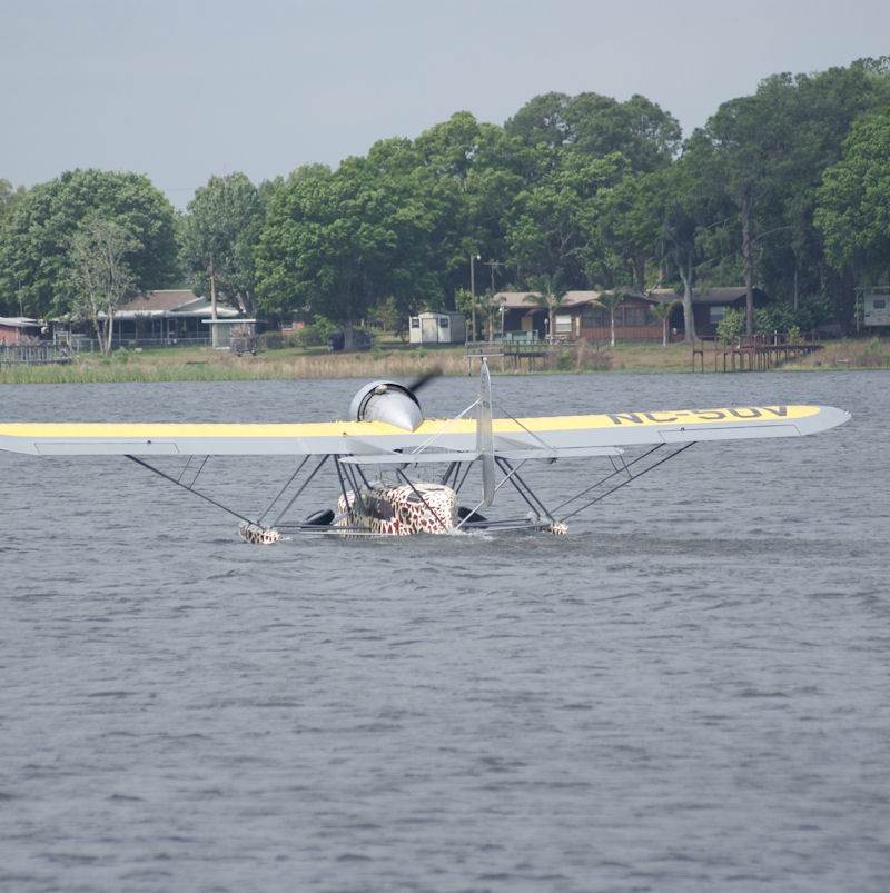  - Single-engine aircraft
