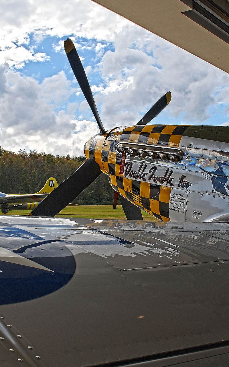  - Warbird