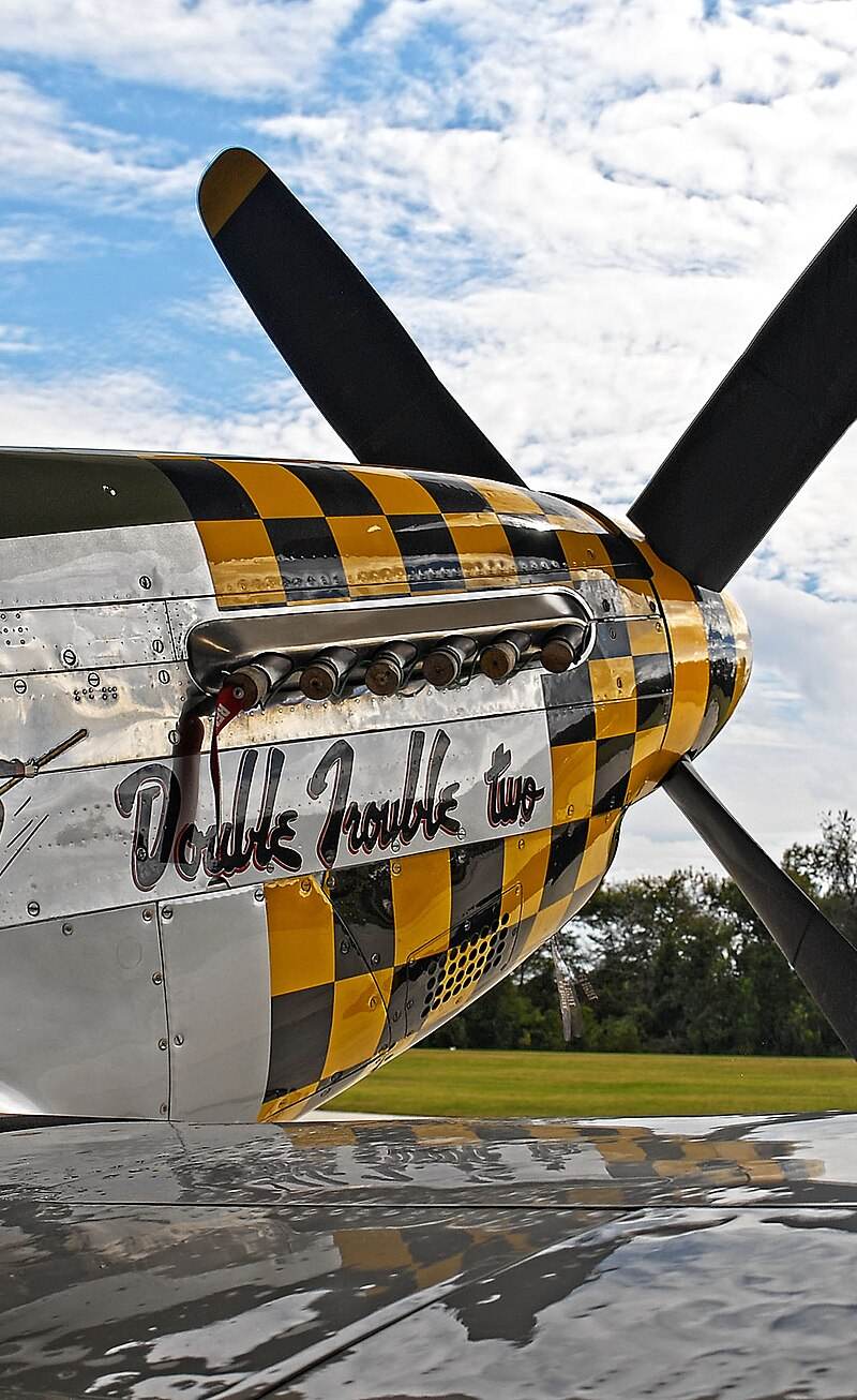  - Warbird