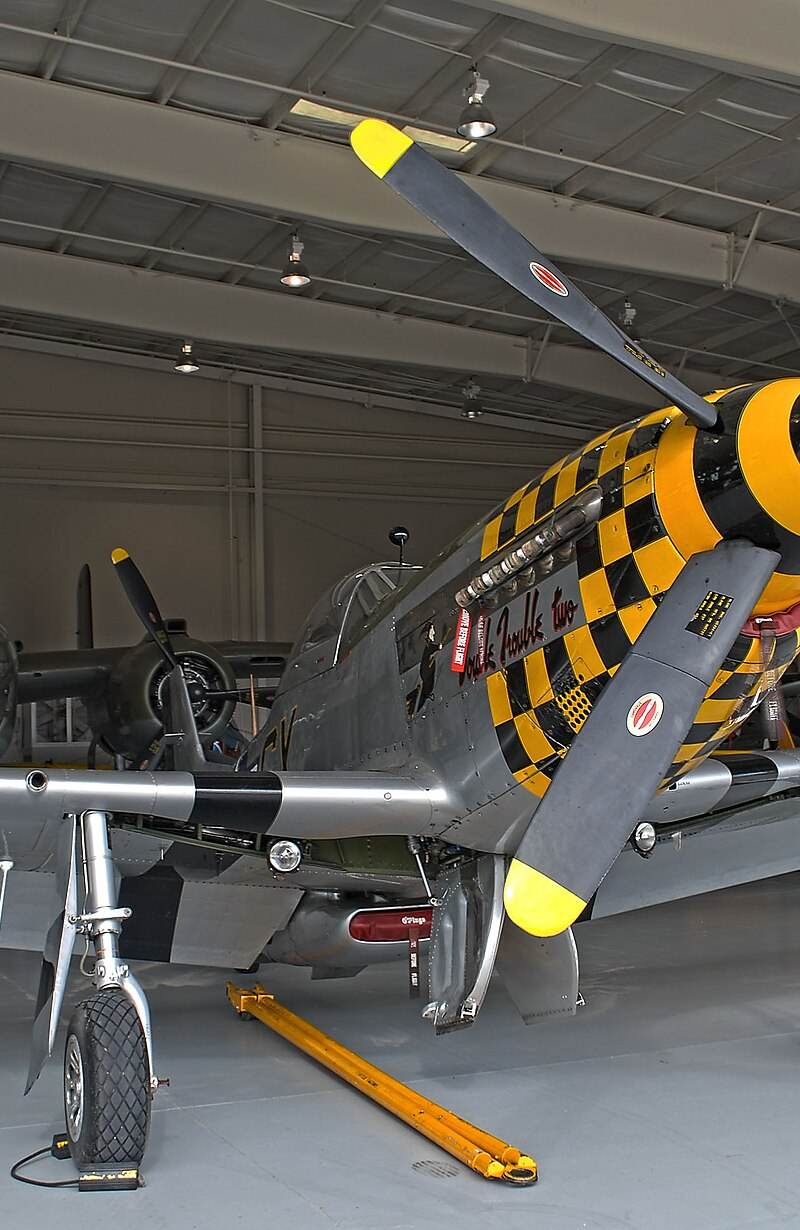  - Warbird