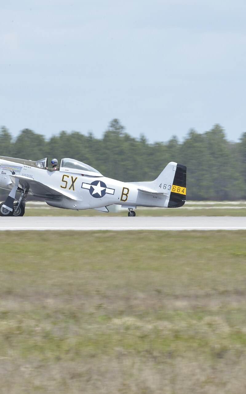  - Warbird