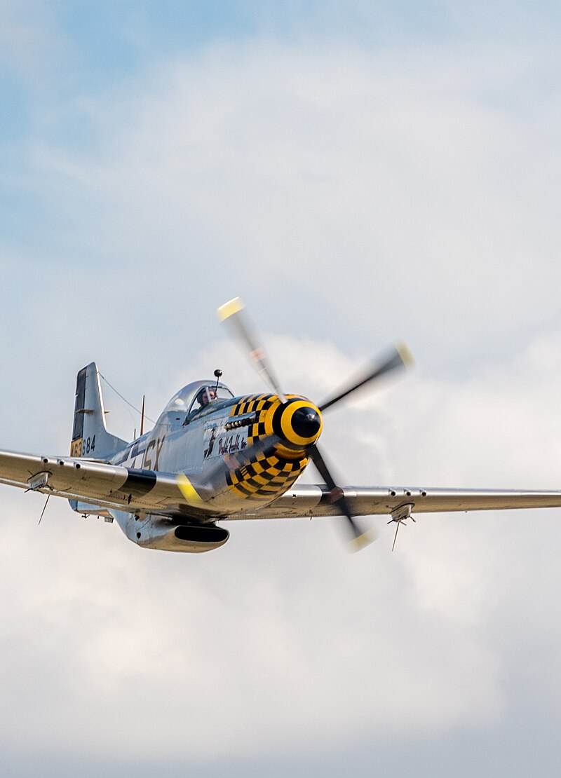  - Warbird
