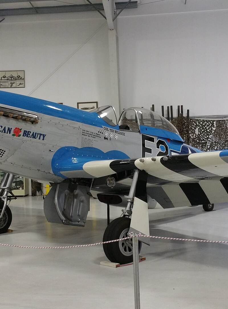 - Warbird