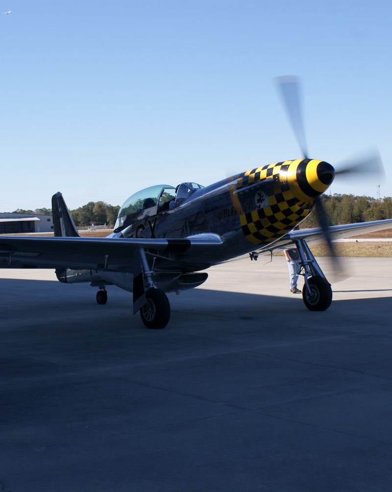  - Warbird