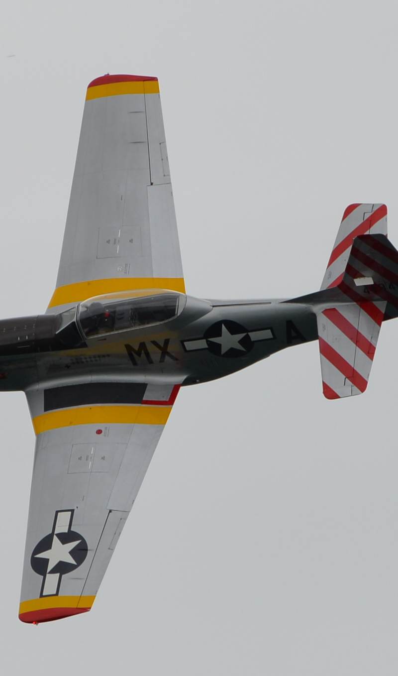  - Warbird
