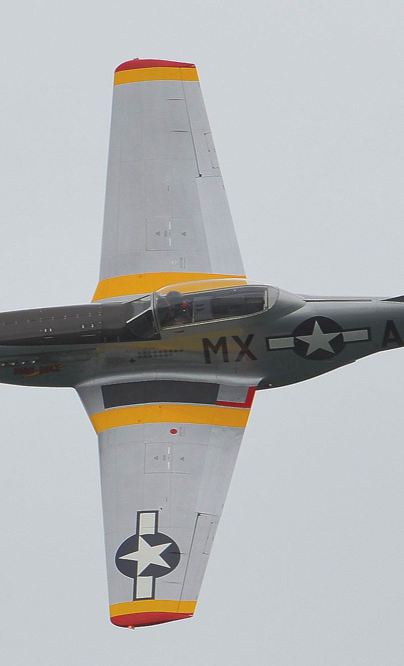  - Warbird