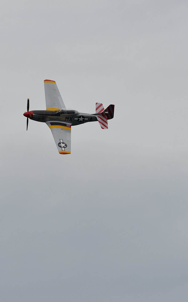  - Warbird