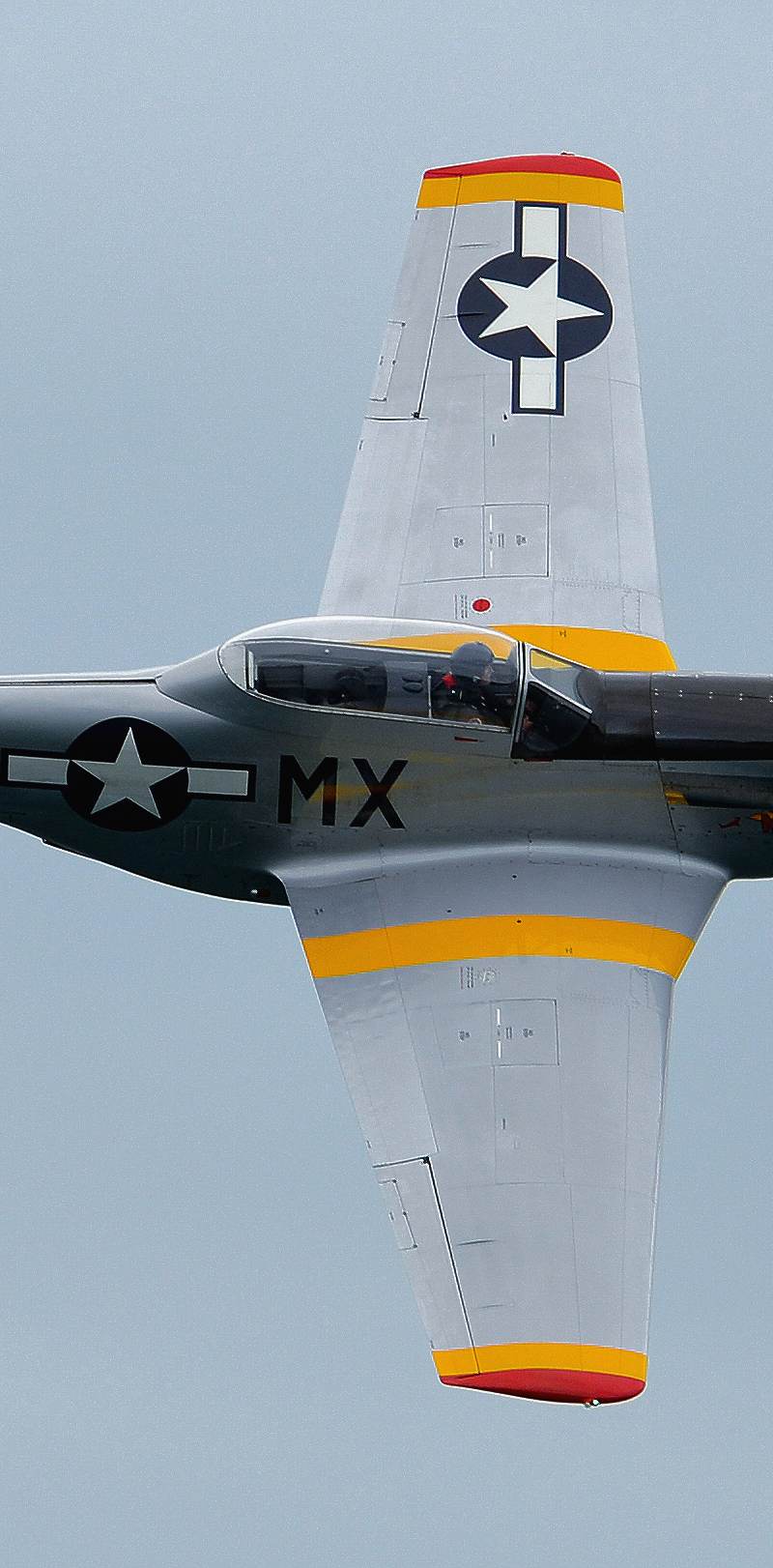 - Warbird