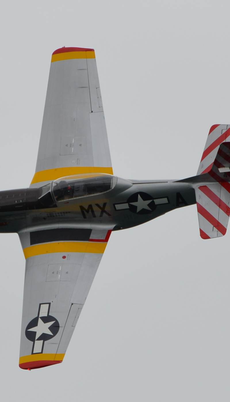  - Warbird