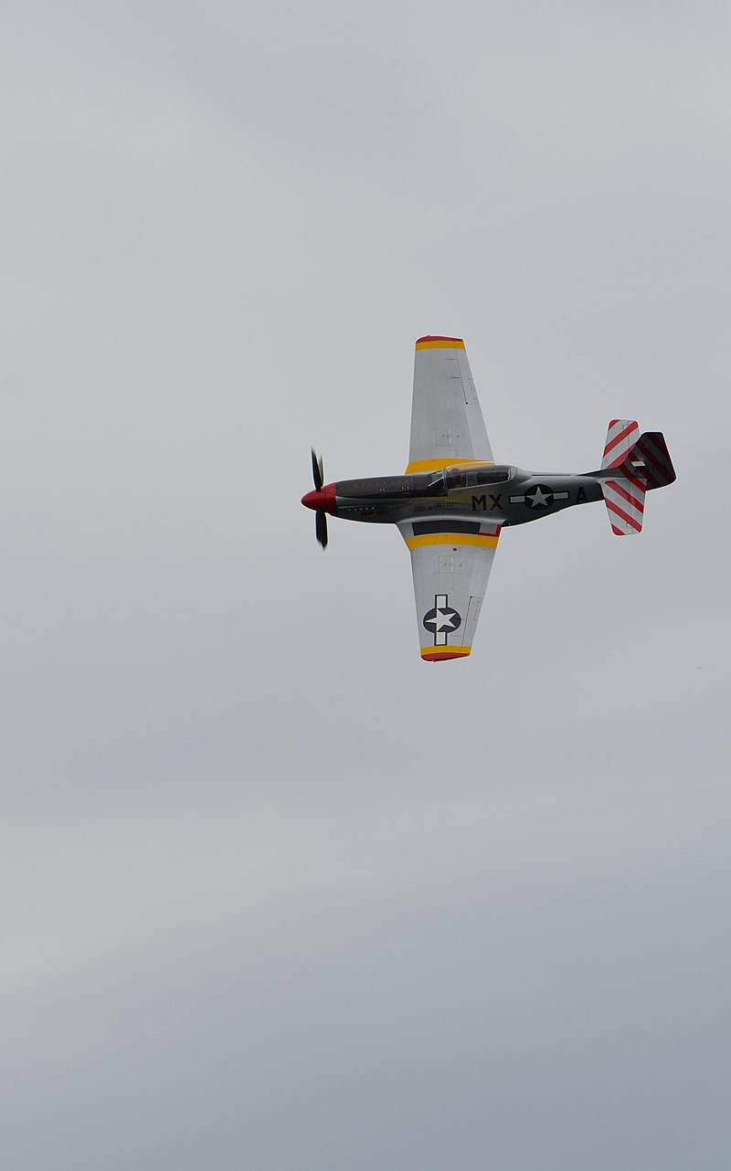  - Warbird