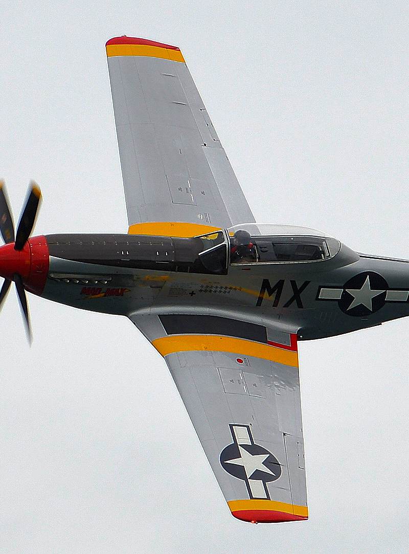  - Warbird