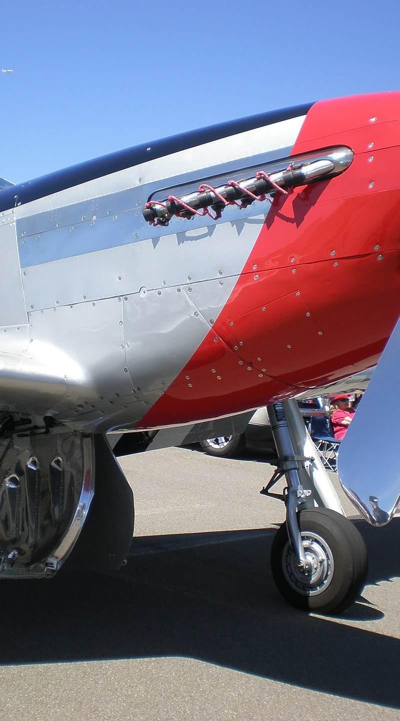  - Warbird