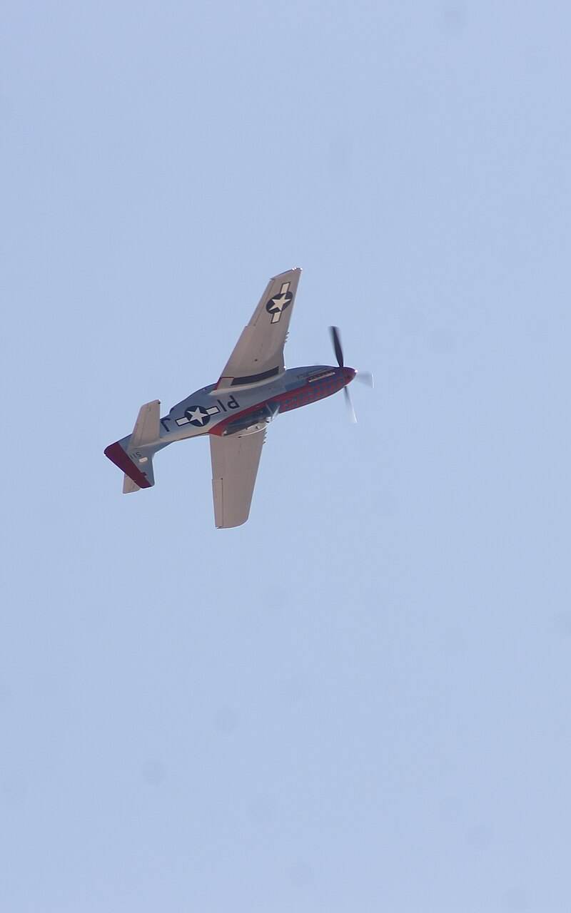 N51ZM - Warbird