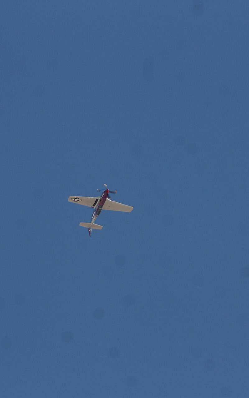 N51ZM - Warbird