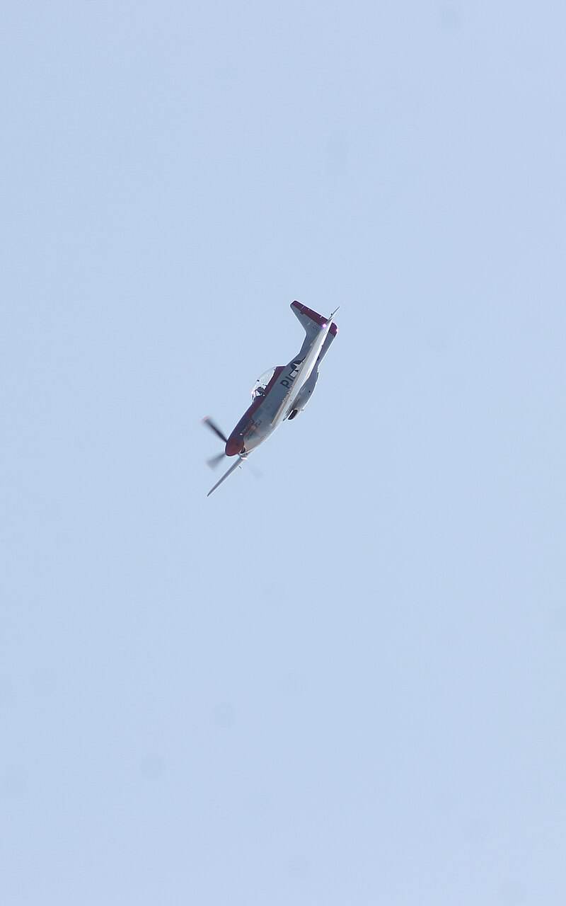 N51ZM - Warbird
