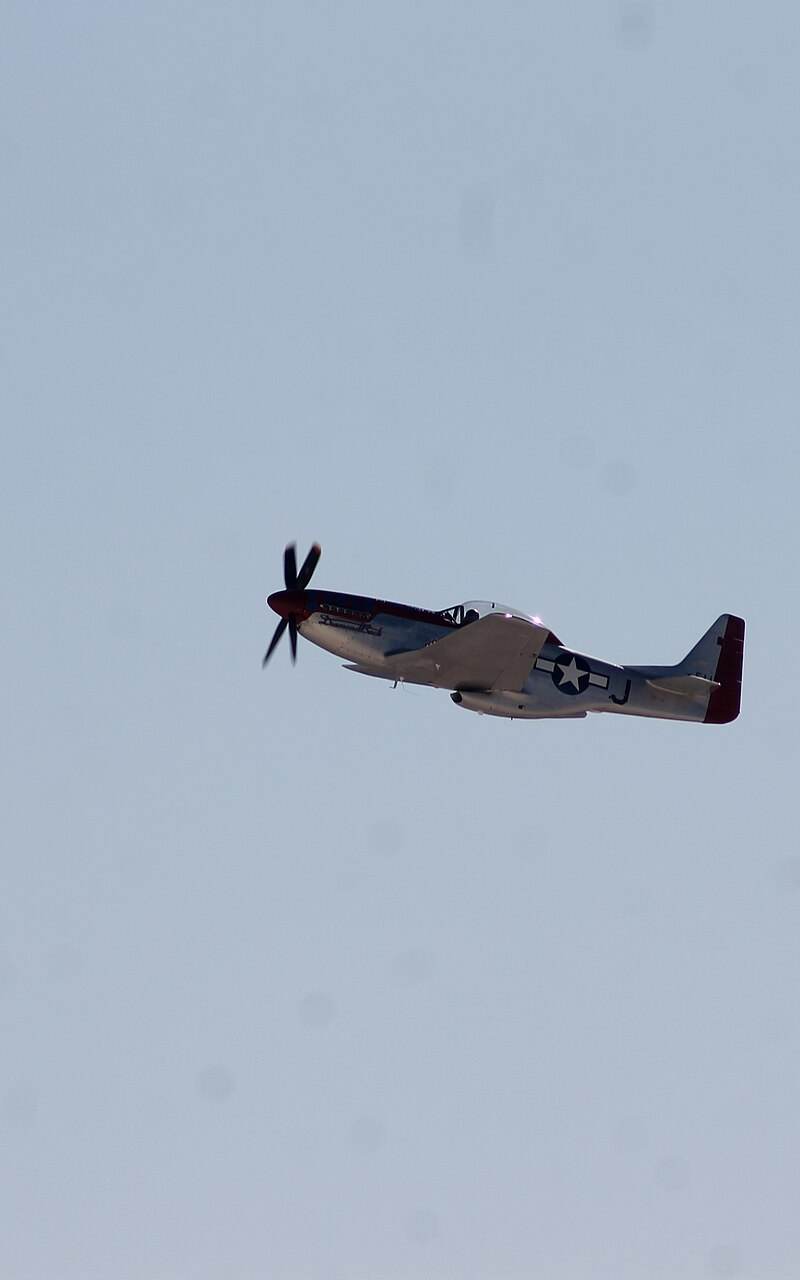 N51ZM - Warbird