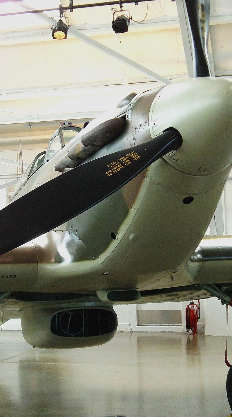  - Warbird