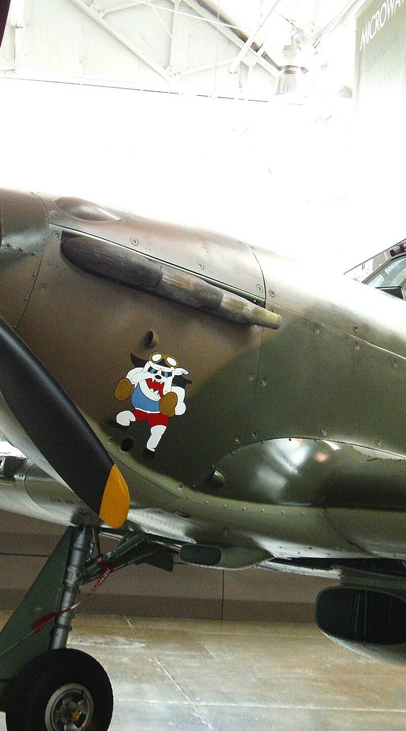  - Single-engine aircraft