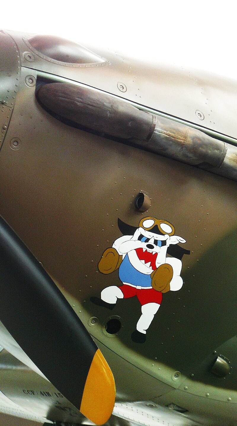  - Warbird