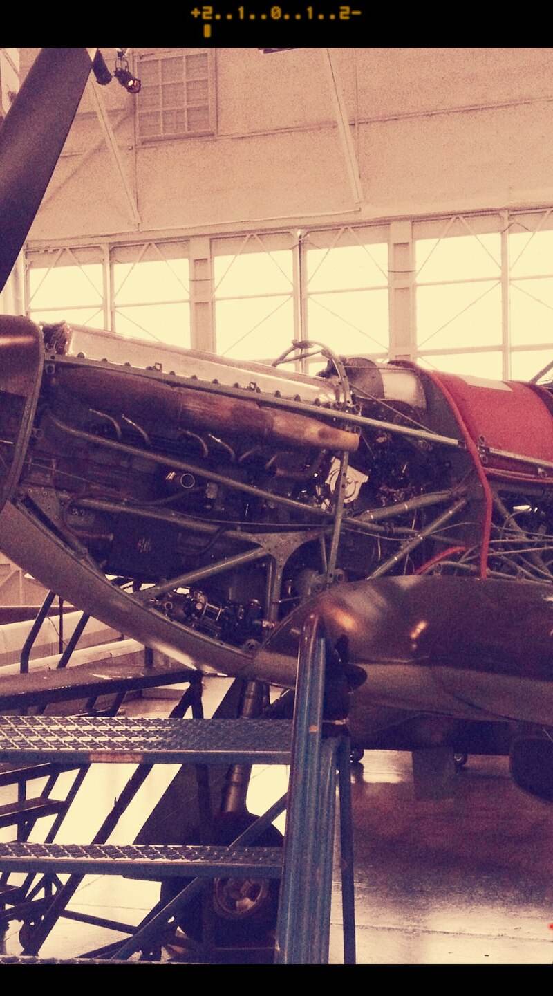  - Warbird