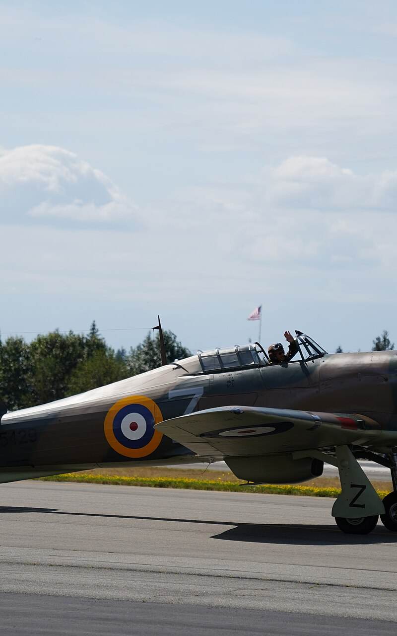  - Warbird