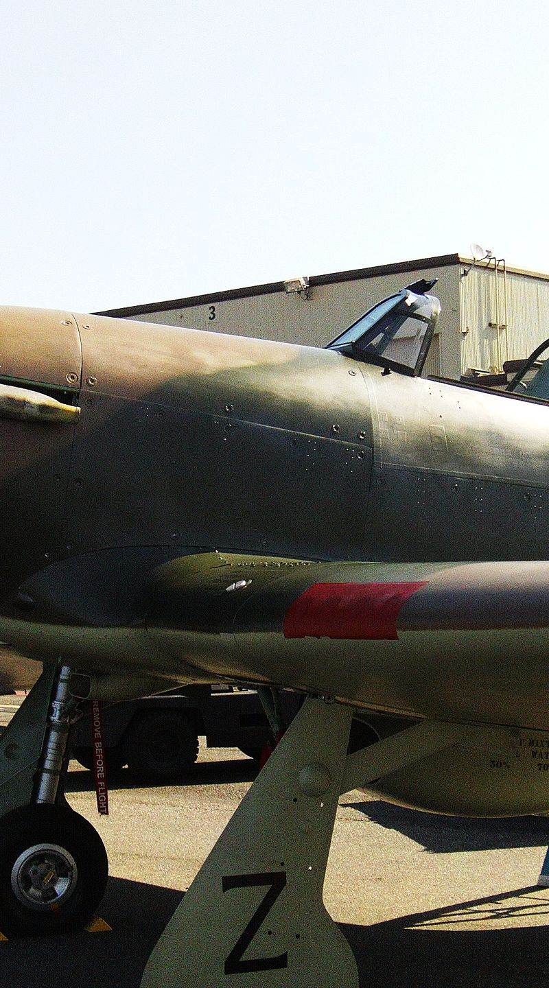  - Warbird