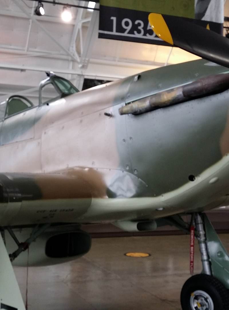  - Warbird
