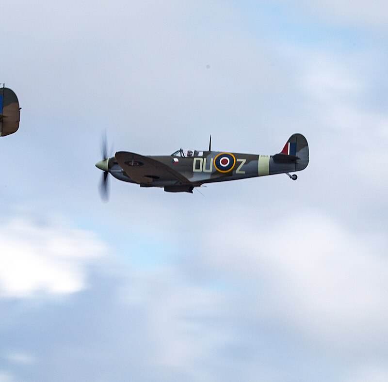  - Warbird