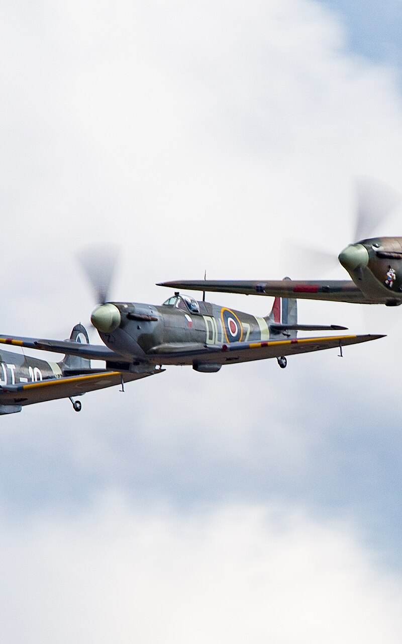  - Warbird