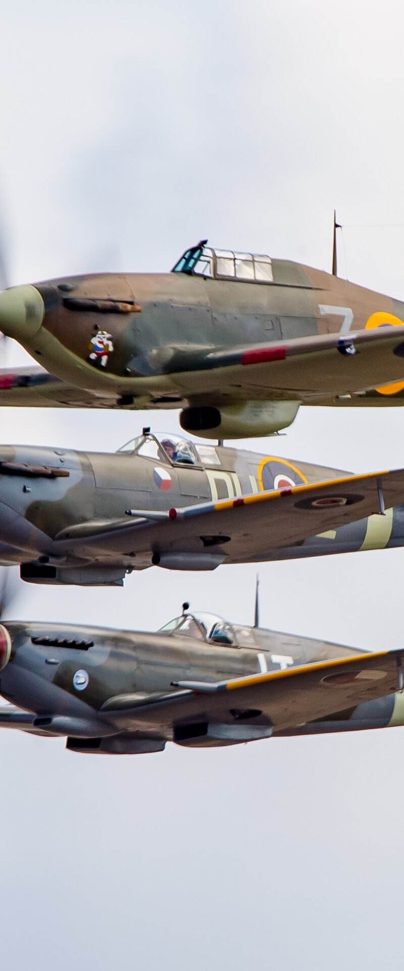  - Warbird
