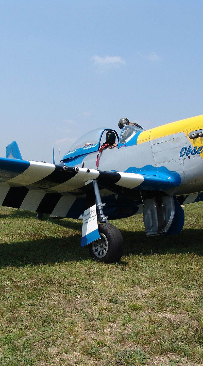  - Warbird