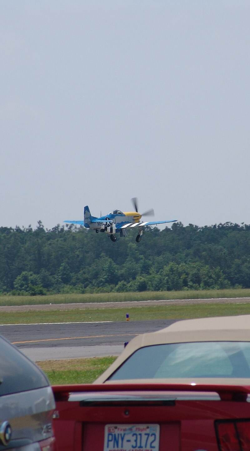  - Warbird