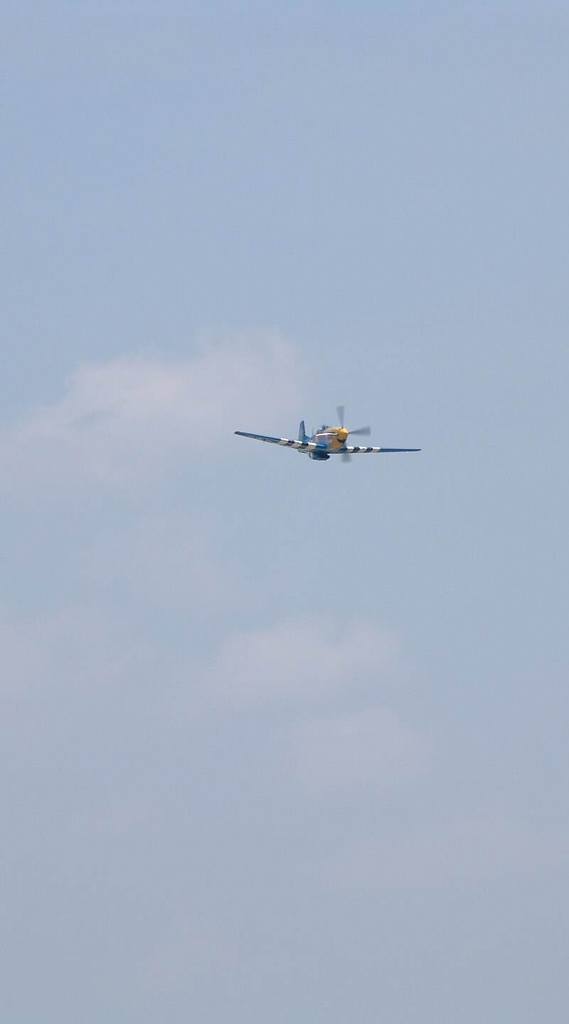 - Warbird