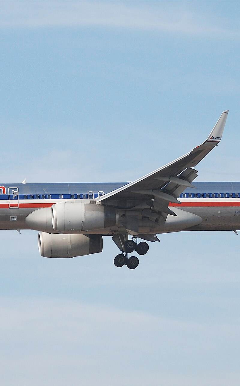 N689AA - Twin-engine aircraft