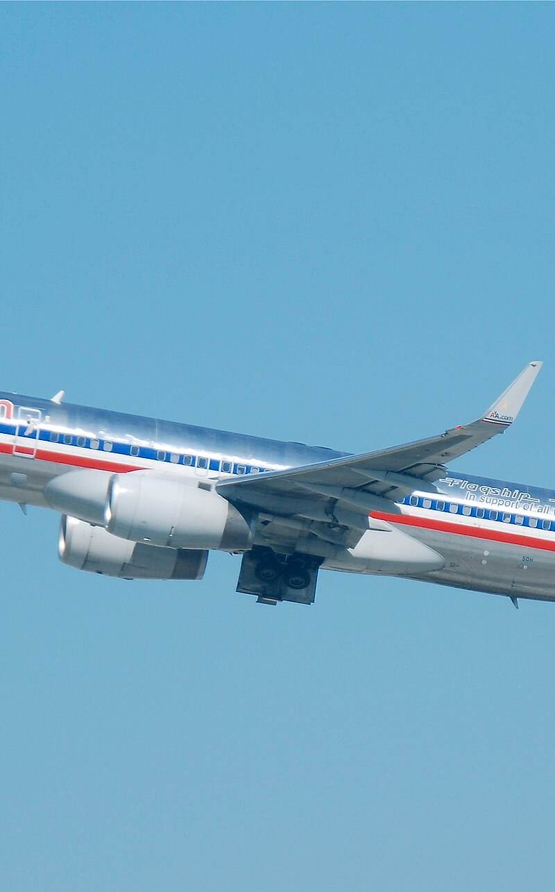 N690AA - Twin-engine aircraft