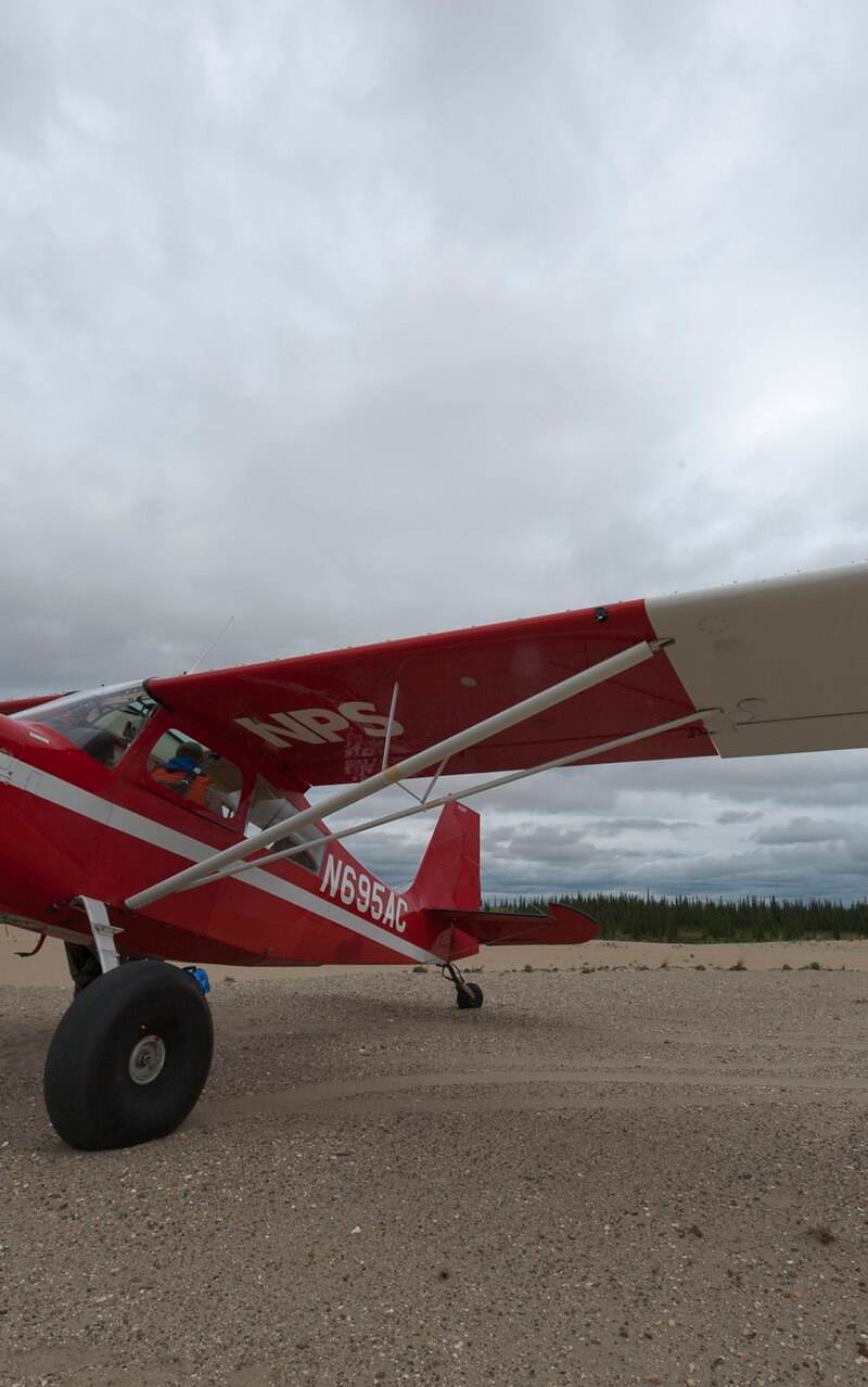 N695AC - Single-engine aircraft