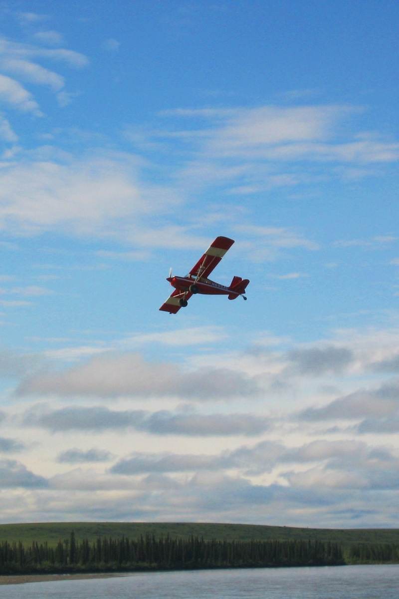 N695AC - Single-engine aircraft