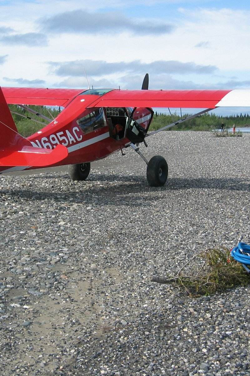 N695AC - Single-engine aircraft