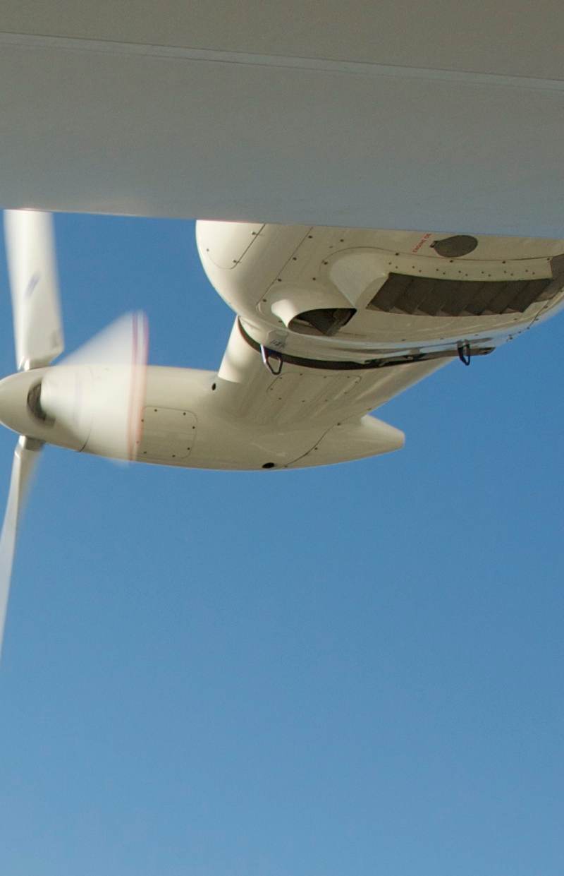 N704LZ - Single-engine aircraft