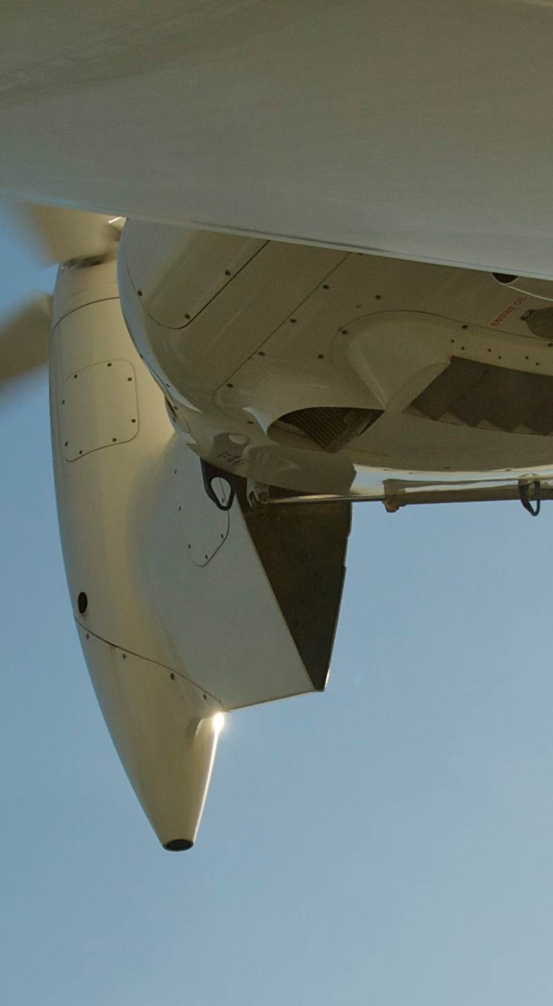 N704LZ - Single-engine aircraft