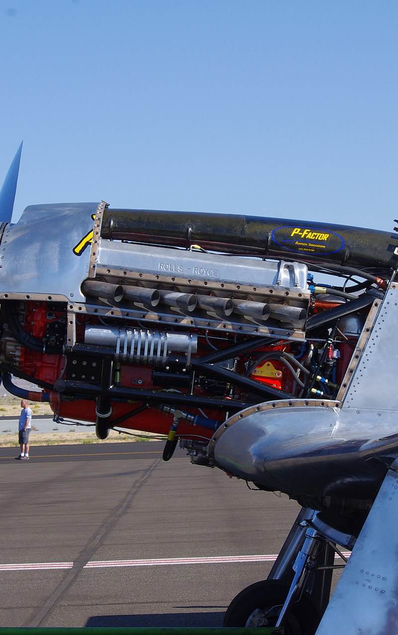 - Warbird
