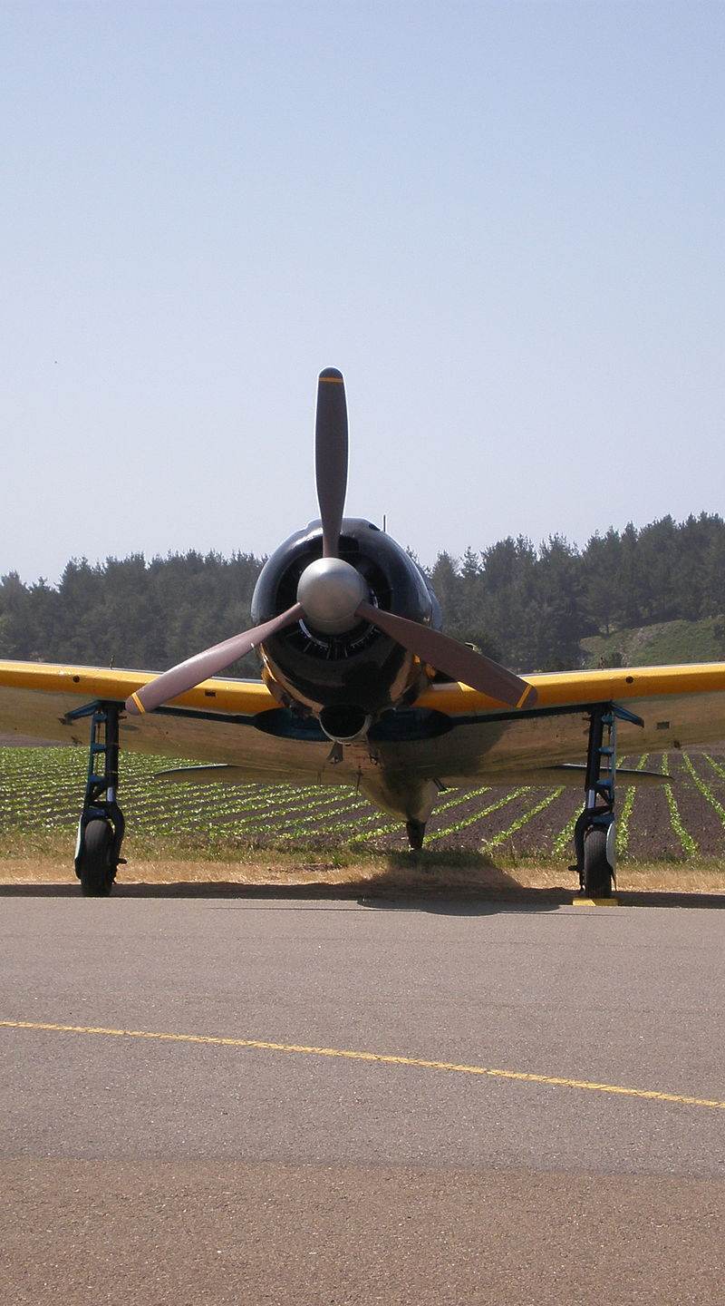  - Warbird