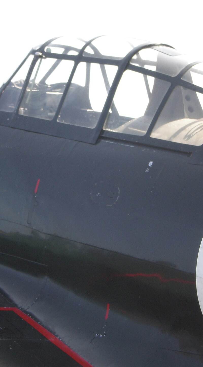  - Warbird