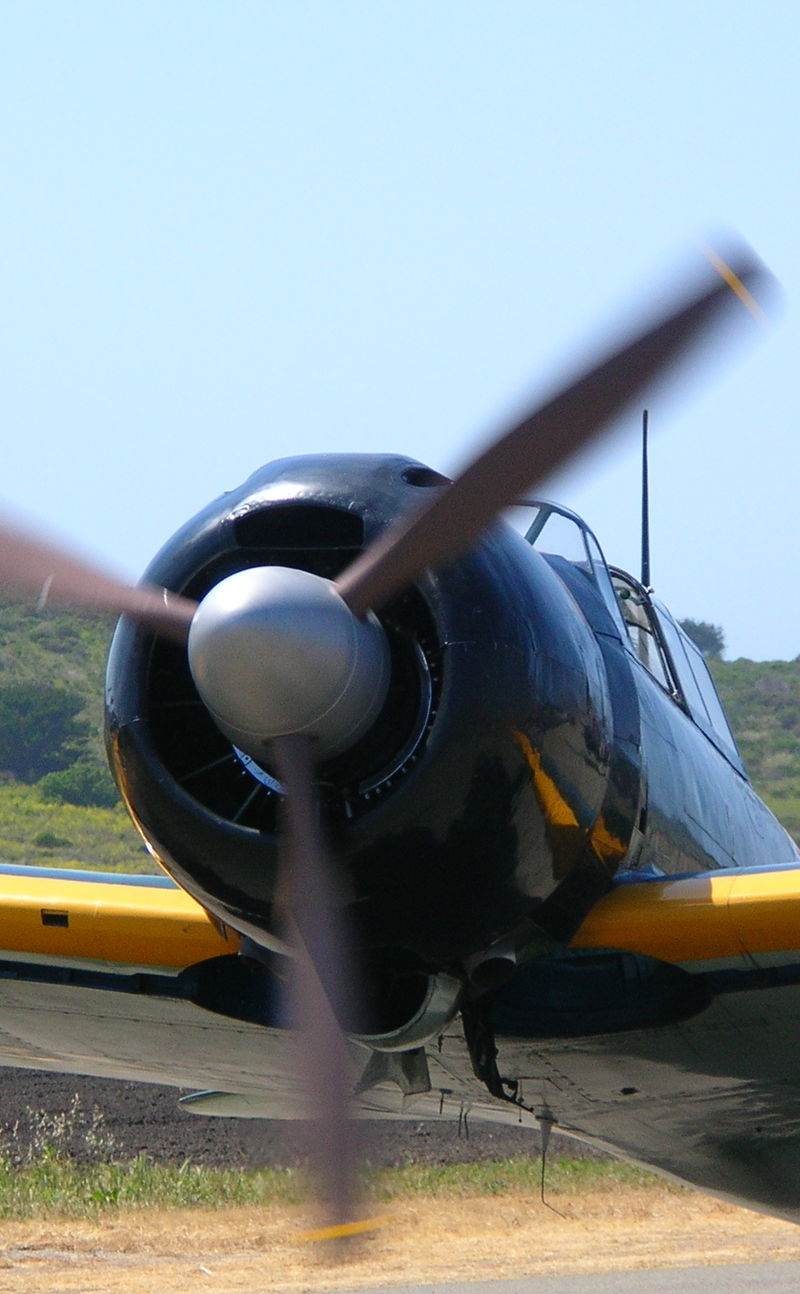  - Warbird