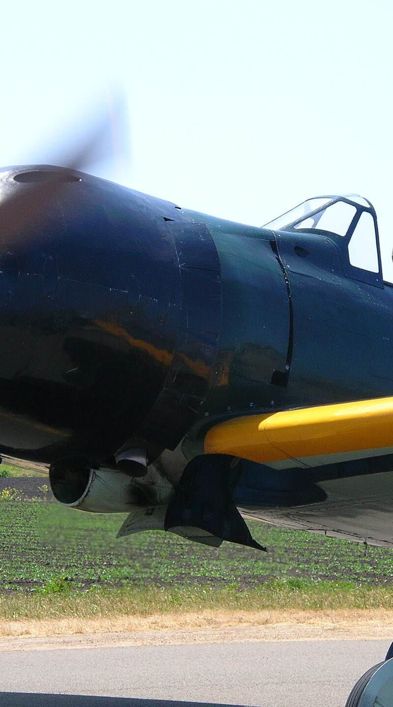  - Warbird