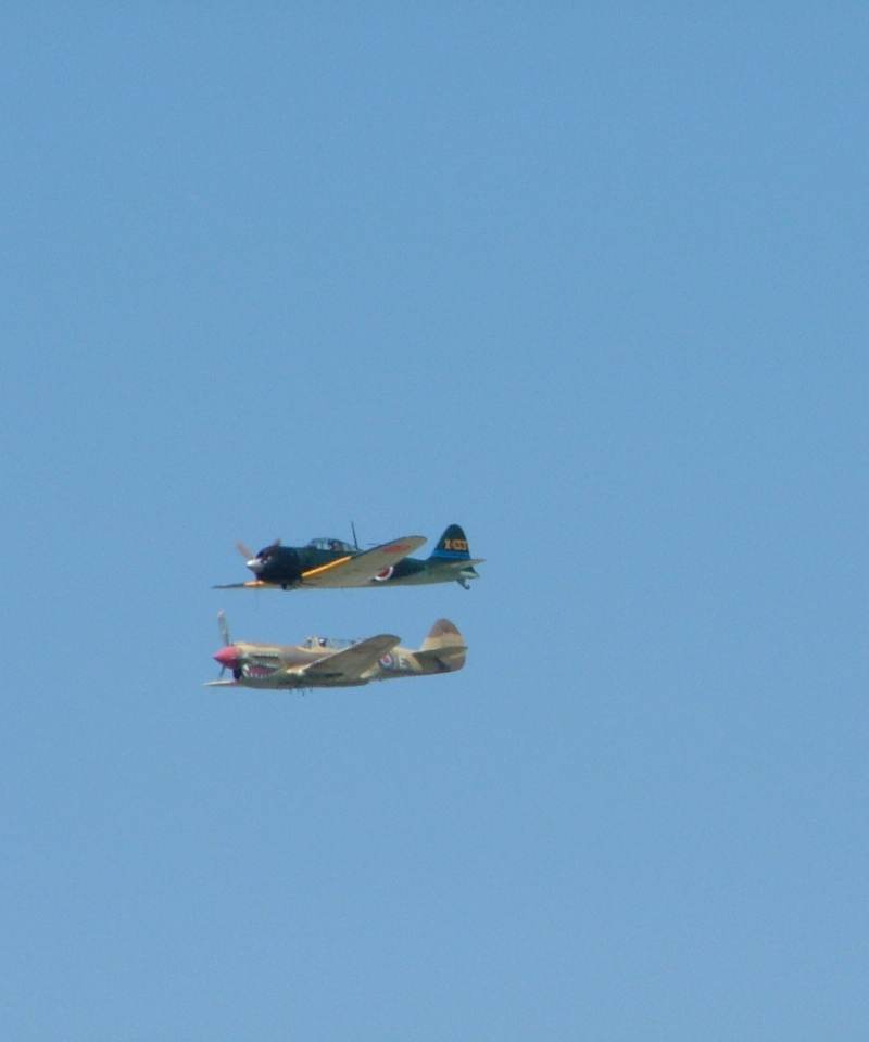  - Warbird